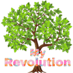 My Revolution