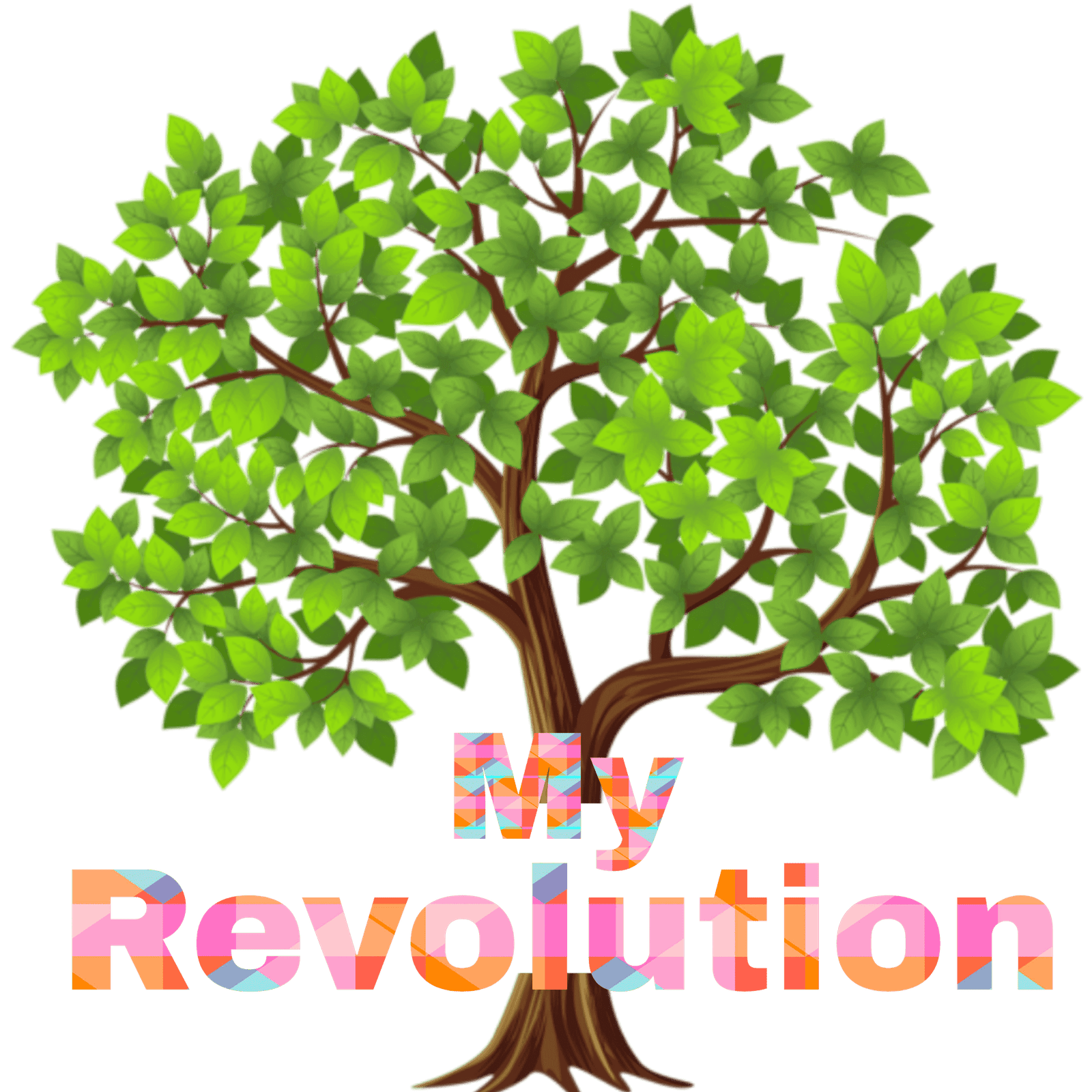 My Revolution